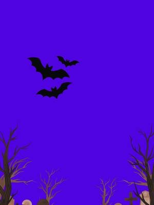 Trick or treat  #trickortreat#spookyseason #spookygirls#trickortreats #halloween #halloweenishere #spooky #spookytreats #bats #pumpkin #pumpkinseason #pumpkins #moon #moonlight #fullmoon #fullmoonvibes #halloweenlook #halloweenparty #funhalloween #trickortreating #boo #spookyfun #funny #funnyvids #funnyvideos #ghosts #ghoststories #witches #werewolf #vampire
