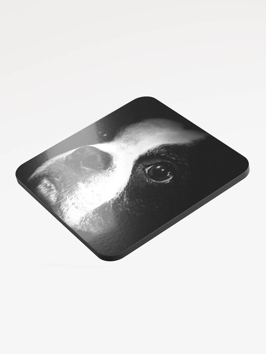 HOOGANCOASTER product image (3)