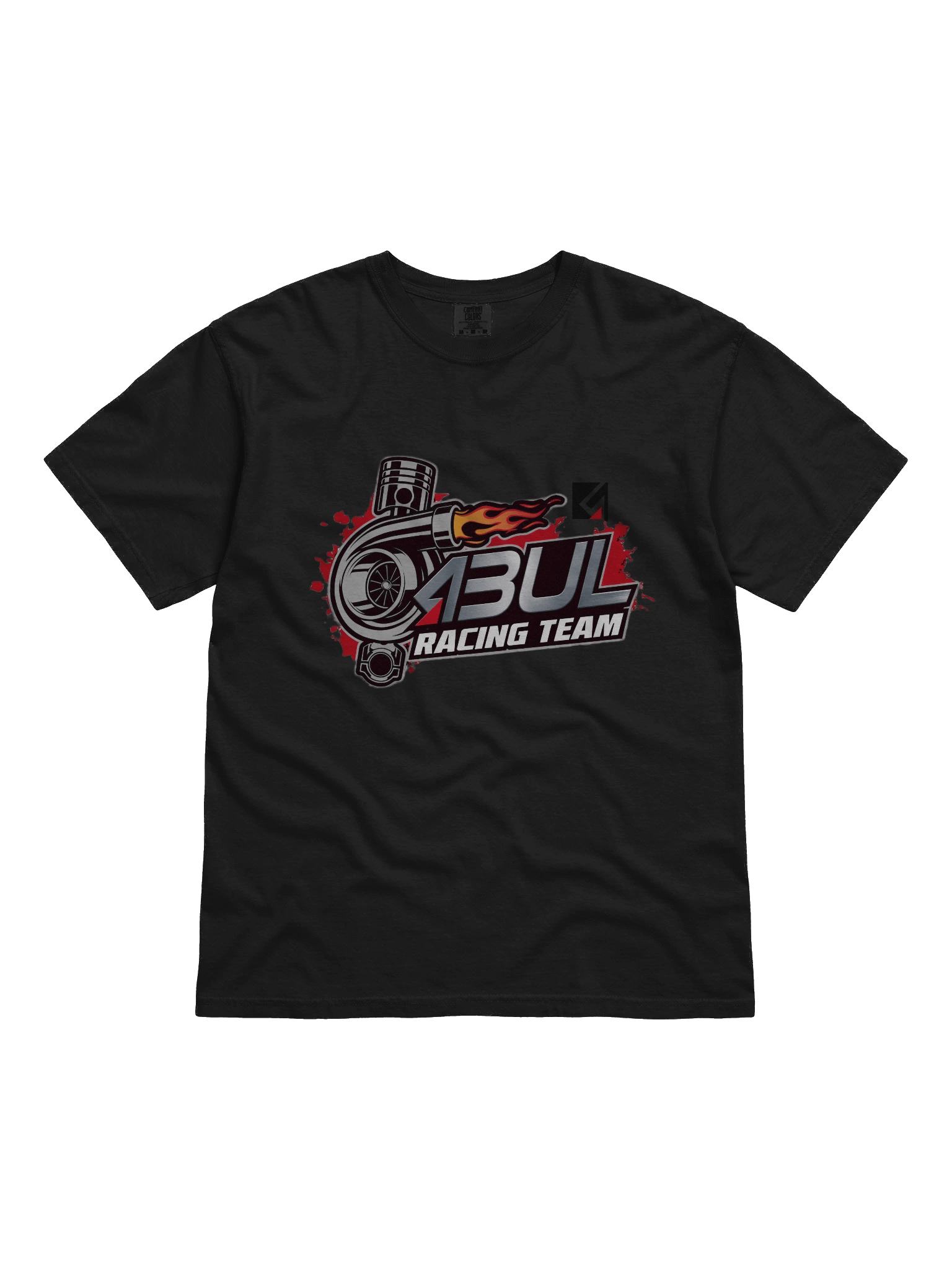 Comfort Colors Garment-Dyed Heavyweight T-Shirt Team product image (81)