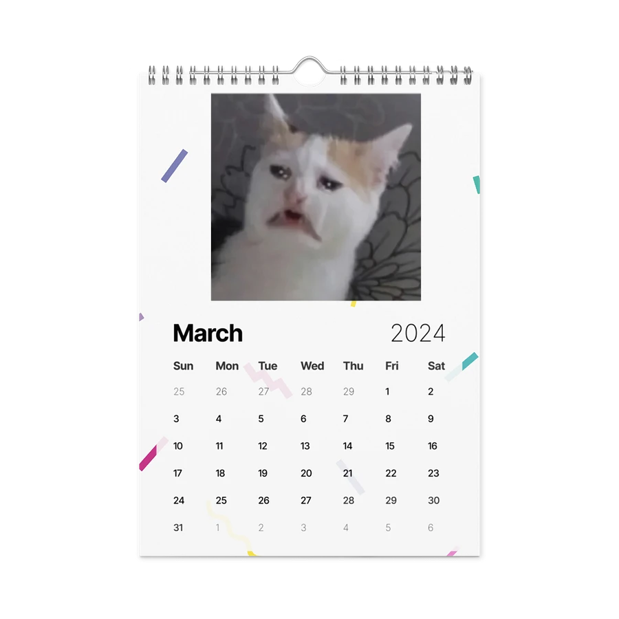 Wall Calendar (2024): Meme Cats product image (13)