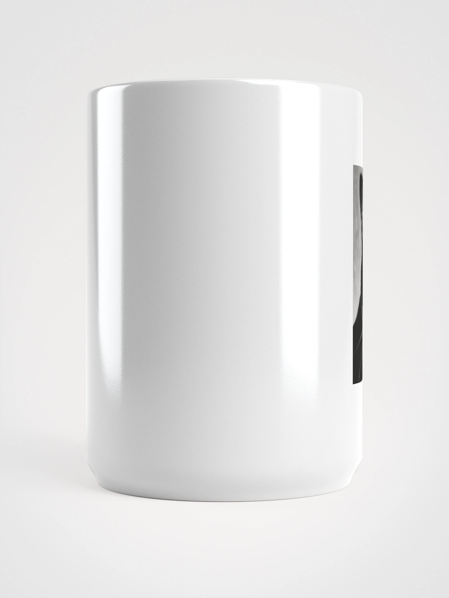 Cat product image (5)