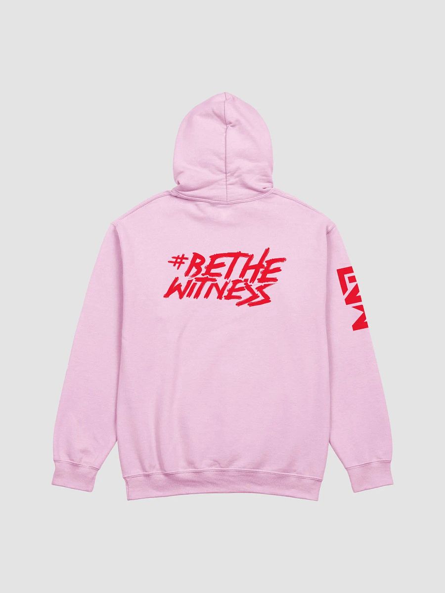 LNW Classic Hoodies product image (5)