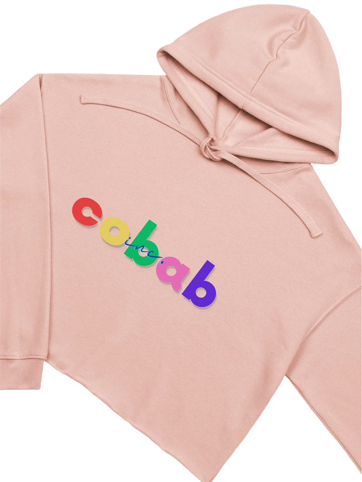 Skittles Crop Hoodie product image (1)