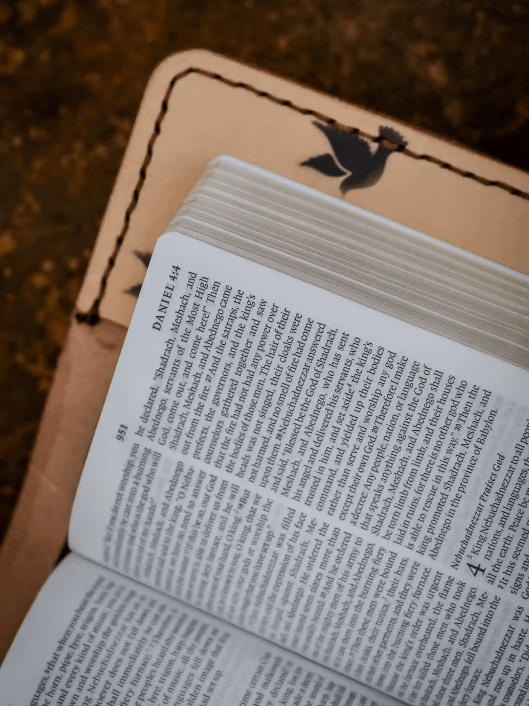 Doves Bible product image (4)