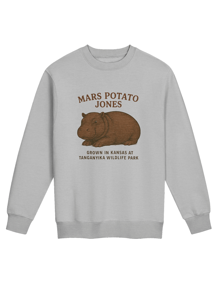 Mars Potato Jones Crewneck product image (4)