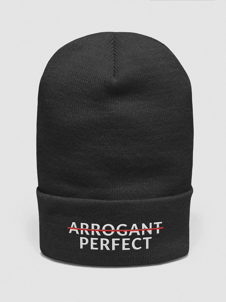 ARROGANT PERFECT - BEANIE product image (4)