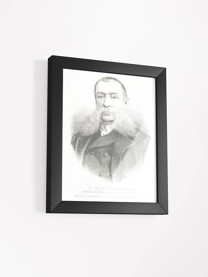 Cuadro - D. Julio C. Vizcarrondo y Coronado: Diputado Provincia de Puerto Rico product image (2)