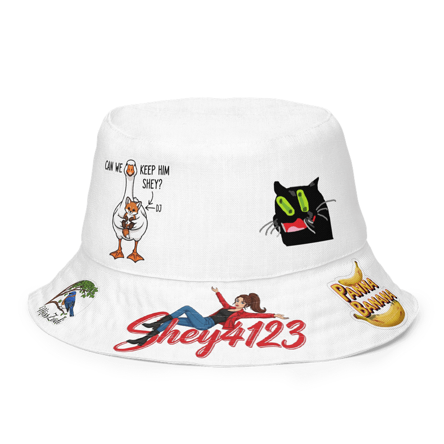 Hat product image (2)