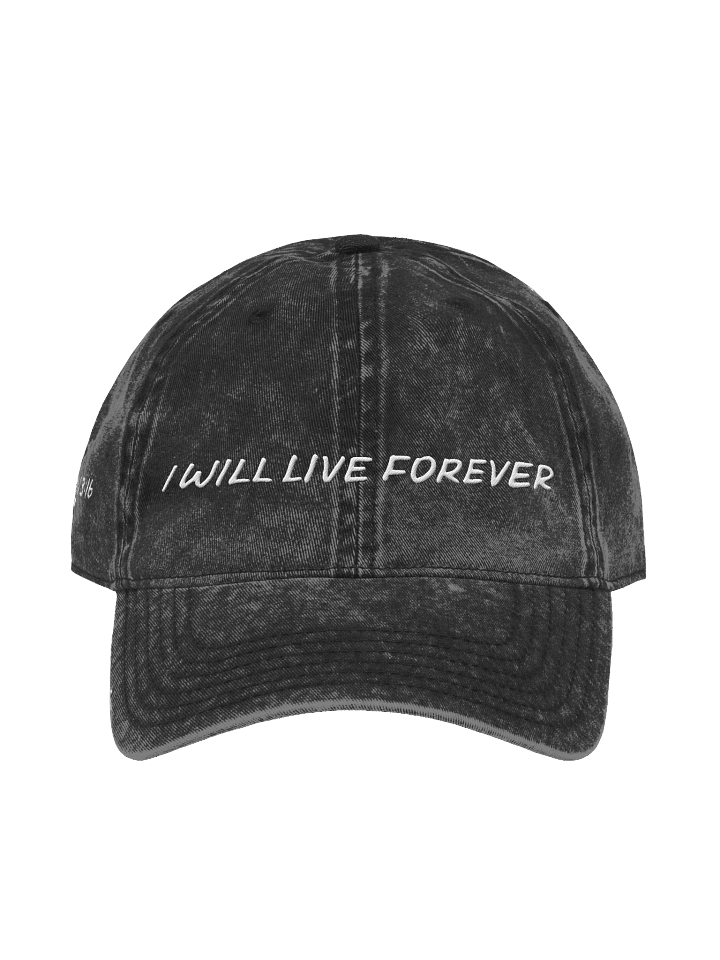 Promises: I WILL LIVE FOREVER product image (4)