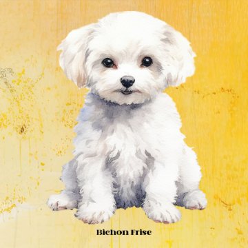 Bichon Frise-30x30x300 product image (1)