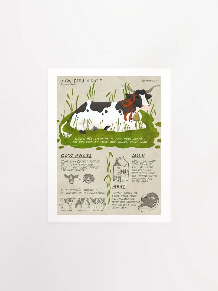 Cow, Bull & Calf Educational Print – Veganuary 2024 product image (2)