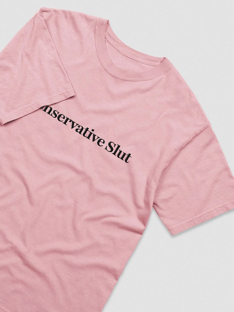 'Conservative Slut' Embroidered Tee product image (3)