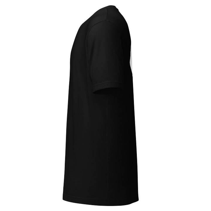Adult T-shirt product image (2)