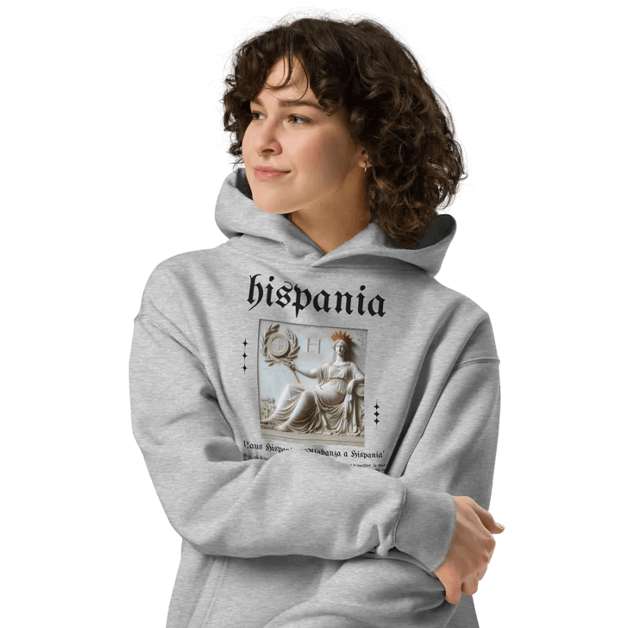 Sudadera con capucha gris - Laus Hispaniae product image (4)