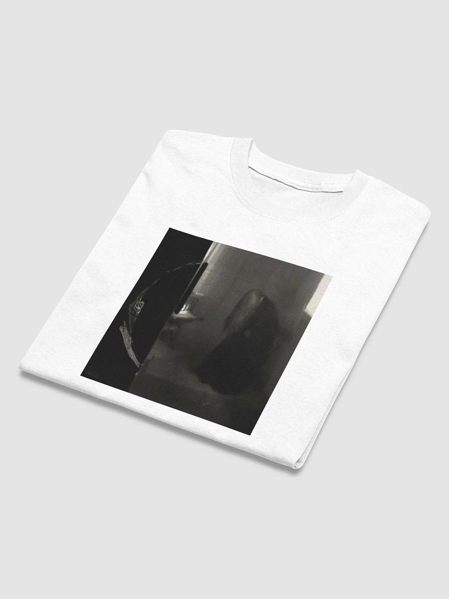 Perverts Album Cover Ethel Cain T-Shirt product image (47)