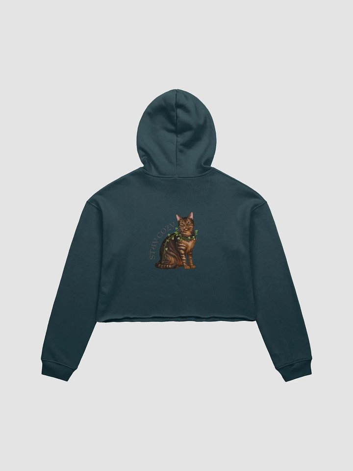 Cozy Cat Lady Cropped Hoodie product image (12)