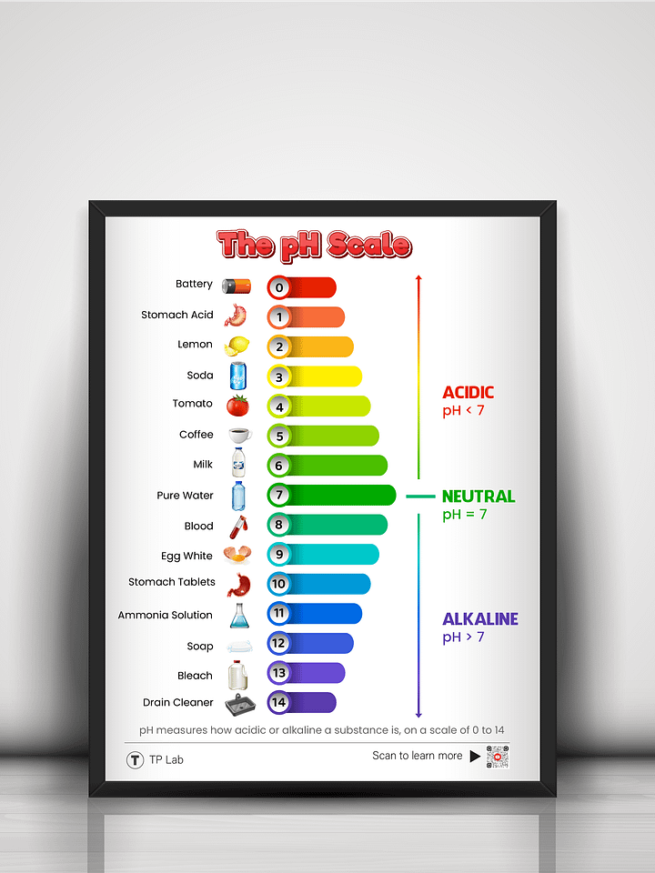 The pH Scale – Colorful and Informative Poster product image (6)