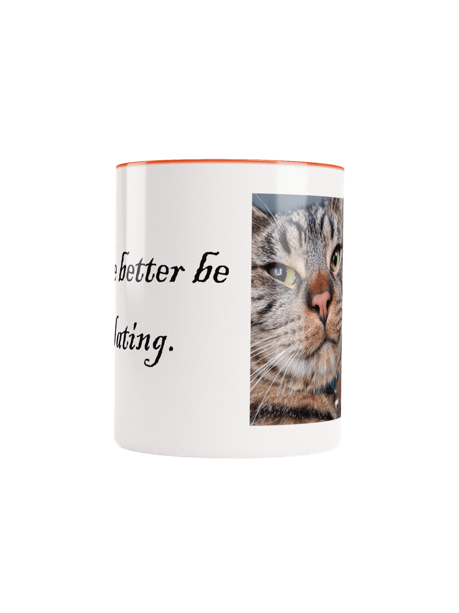 Gar Purr-colating Ceramic 11oz Mug 1 product image (24)