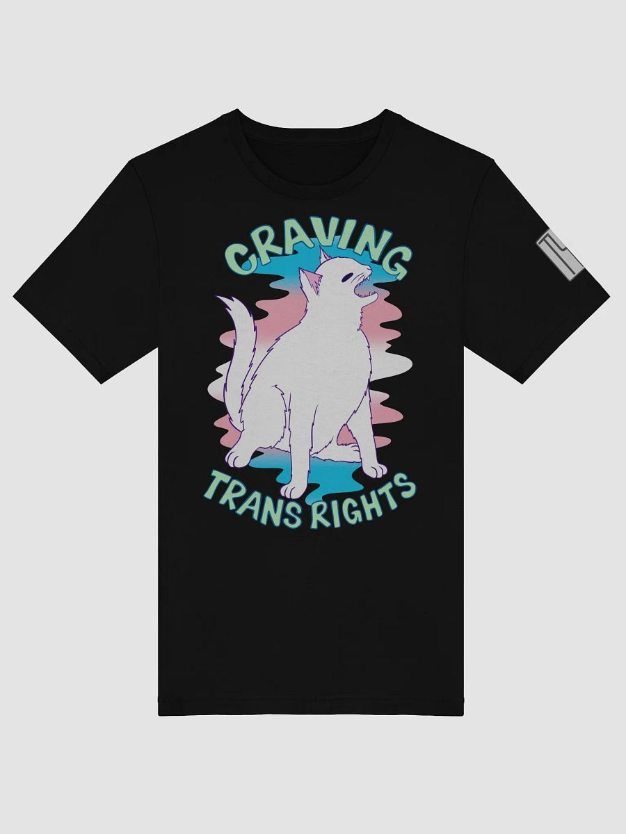Happy Pride: Transgender T-shirt product image (41)