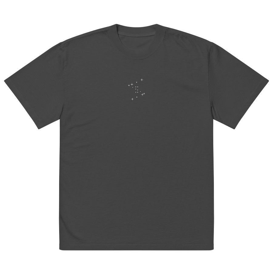 'CONSTELLATION ALT' embroidered OVERSIZED t-shirt product image (2)