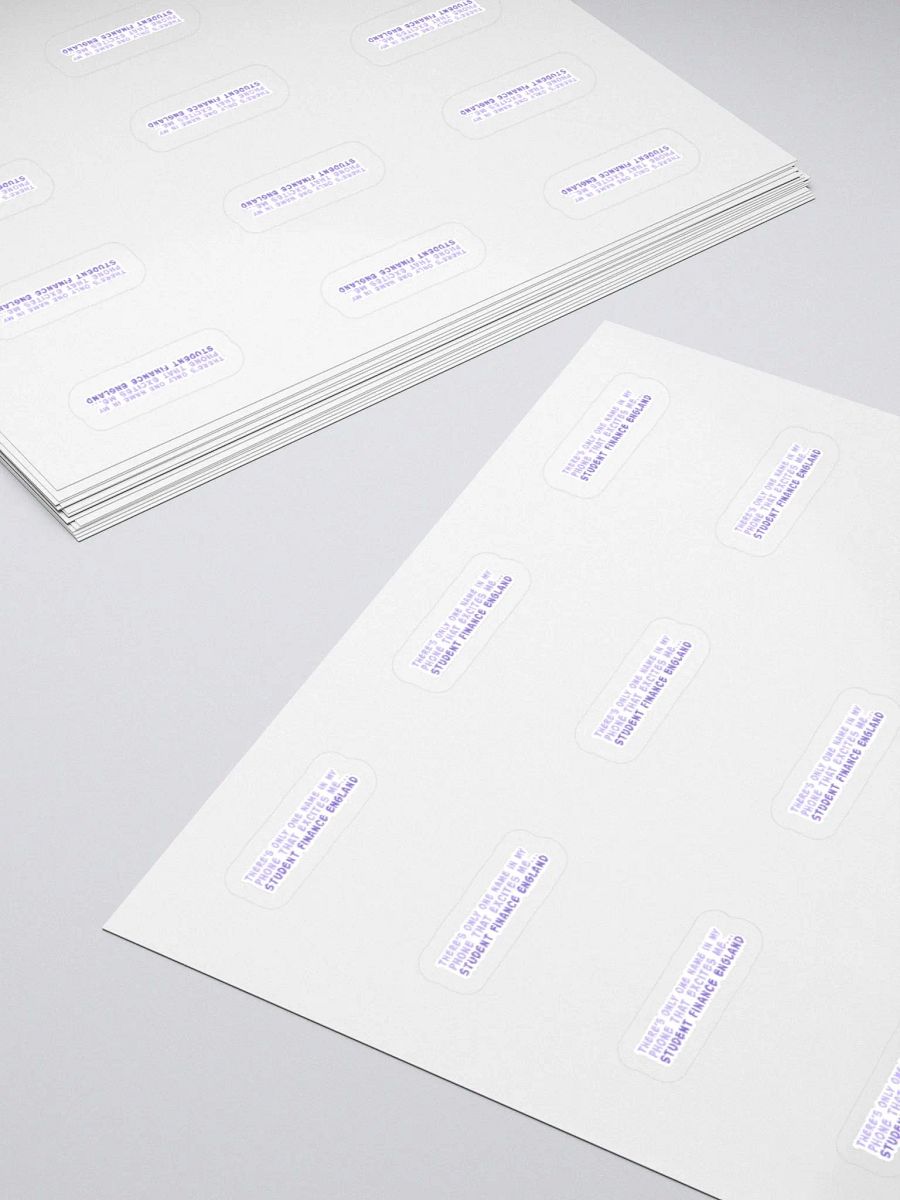 Student Finance Sticker (SMALL Sheet) product image (4)
