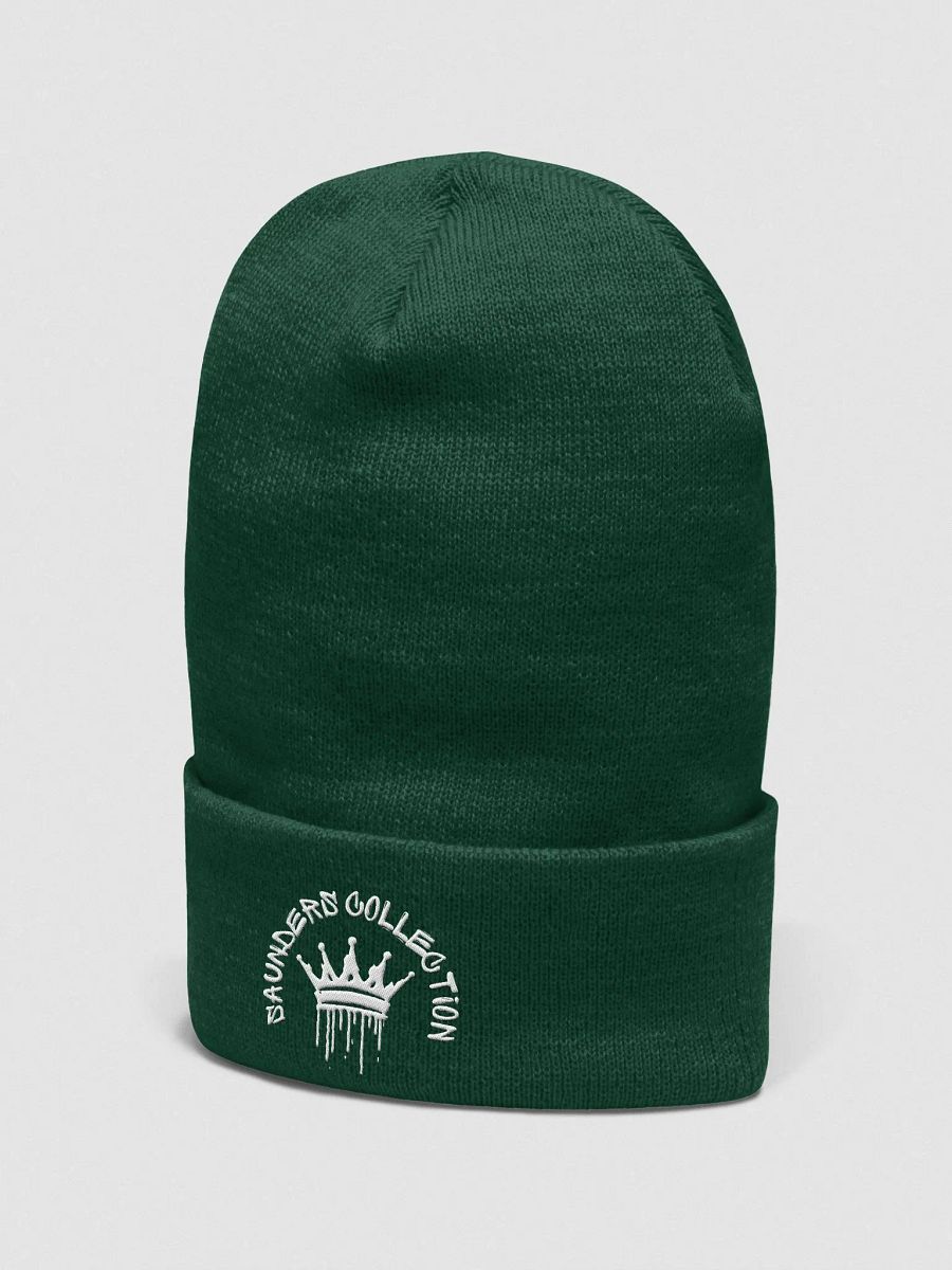 SAUNDERS CO SKULLY product image (22)