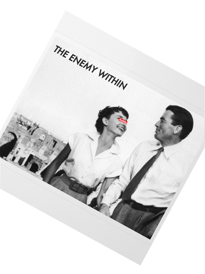 The Anti-Fascionista Sticka product image (2)