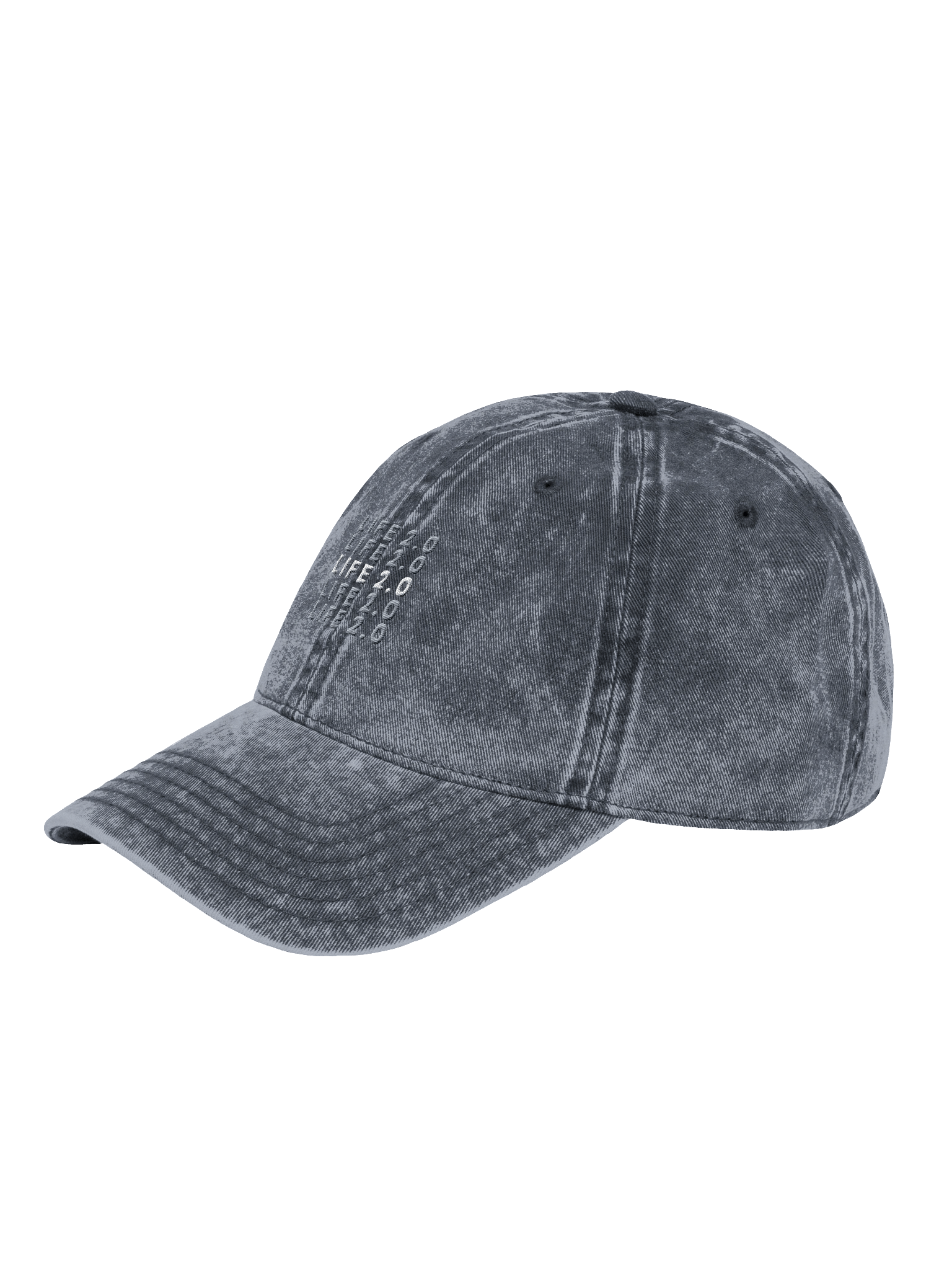 Cool Life 2.0 "Dad Hat" product image (3)