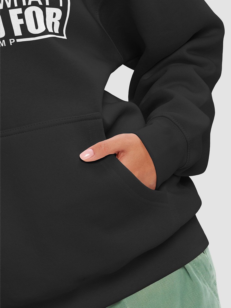 This Is What I Voted For Hoodie 2 product image (23)