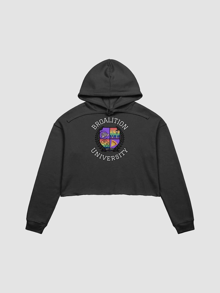 Broversity Cropped Hoodie product image (2)