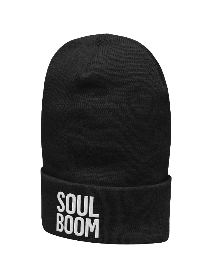 Logo Beanie product image (2)