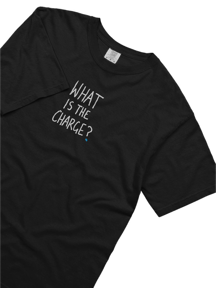 Official Garn 'What Is The Charge' Tee product image (4)