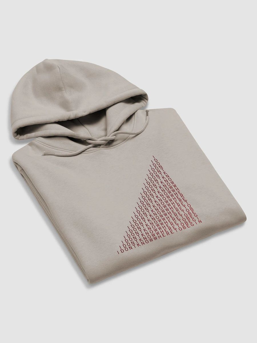 IDKWTB PREMIUM HOODIE product image (3)