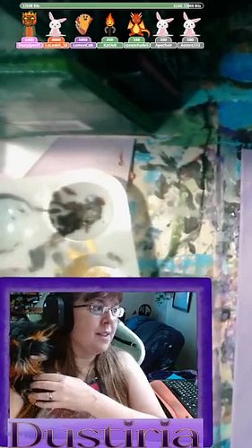 new furiend from Mark the Hatman
#funny #gaming #dustiria