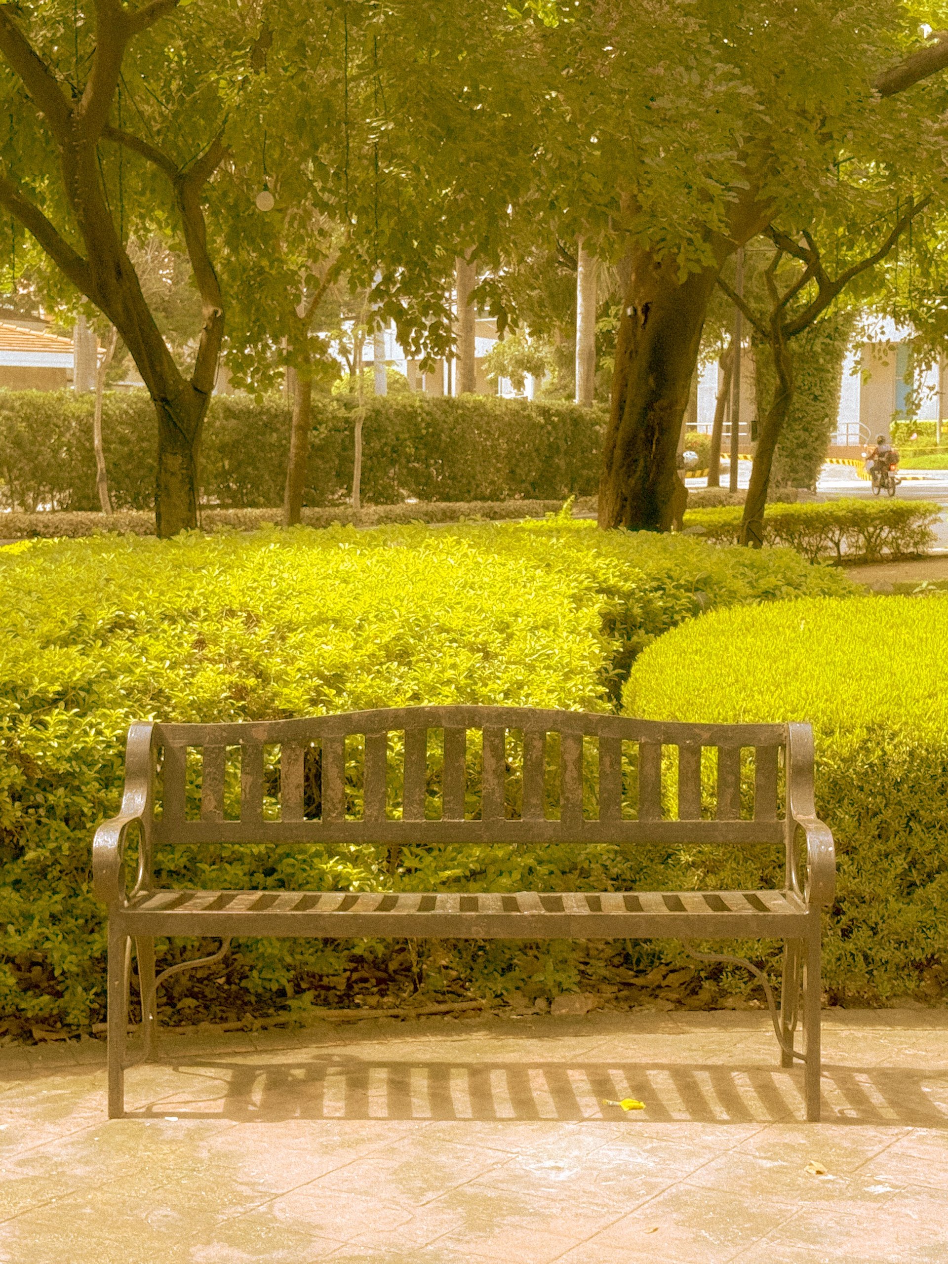 summerday afternoon lightroom preset product image (2)