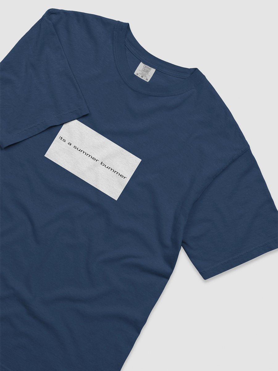 its a summer bummer product image (8)