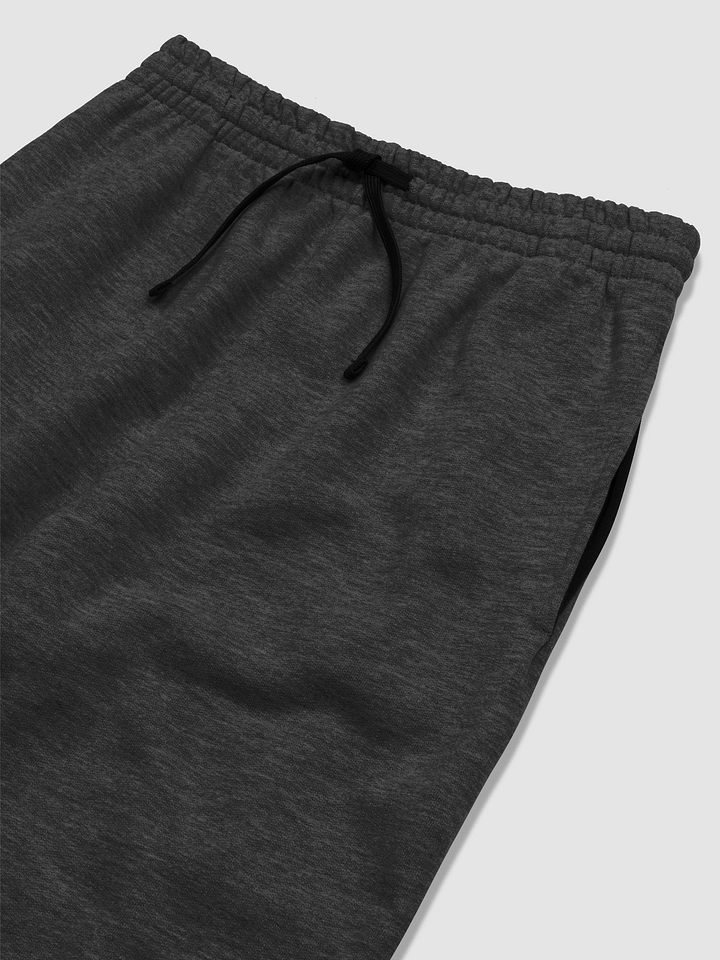 Love Neurodiverse Brains Joggers product image (2)