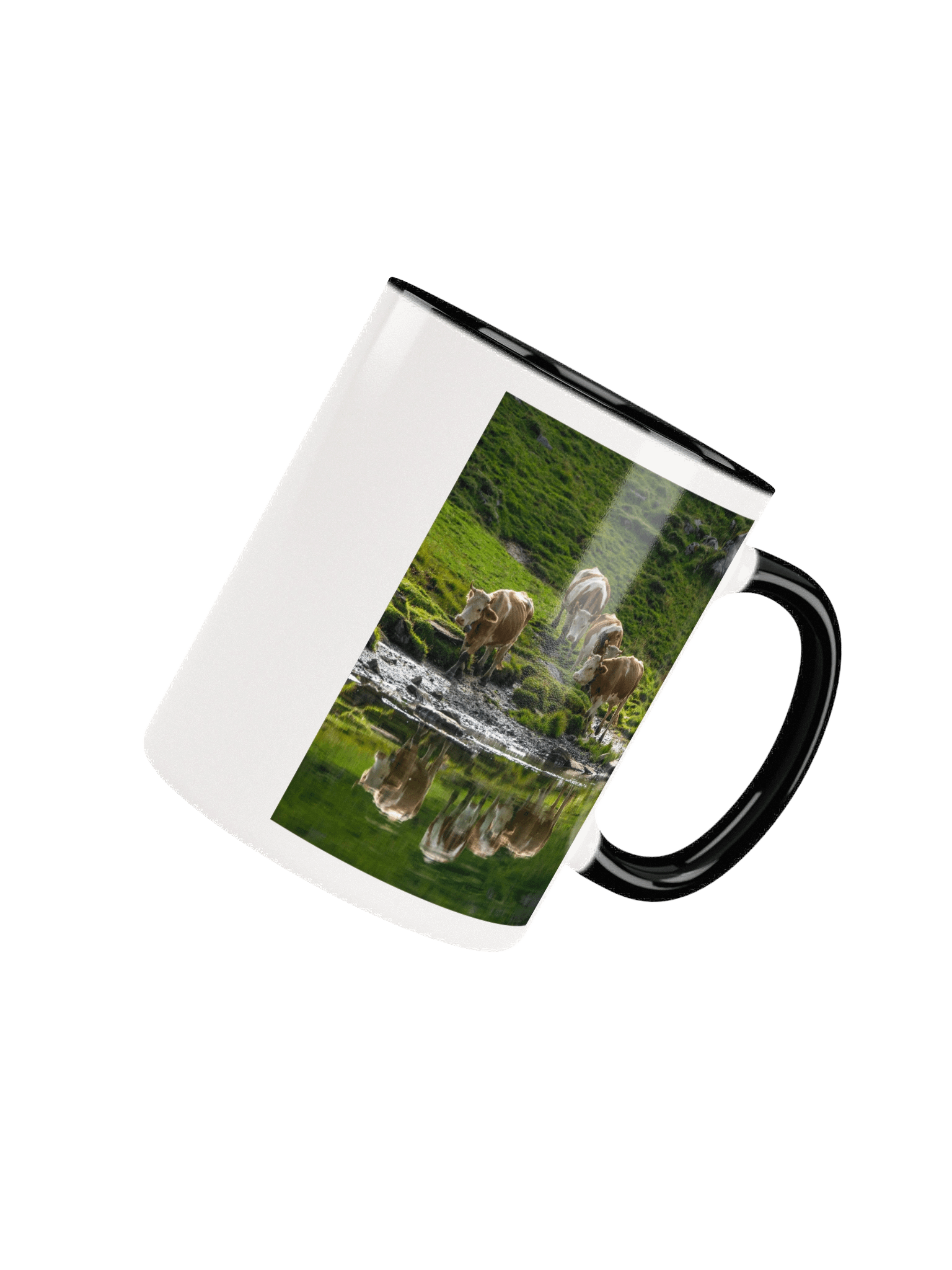 Cows at Sulseeli Jungfrau Region product image (50)