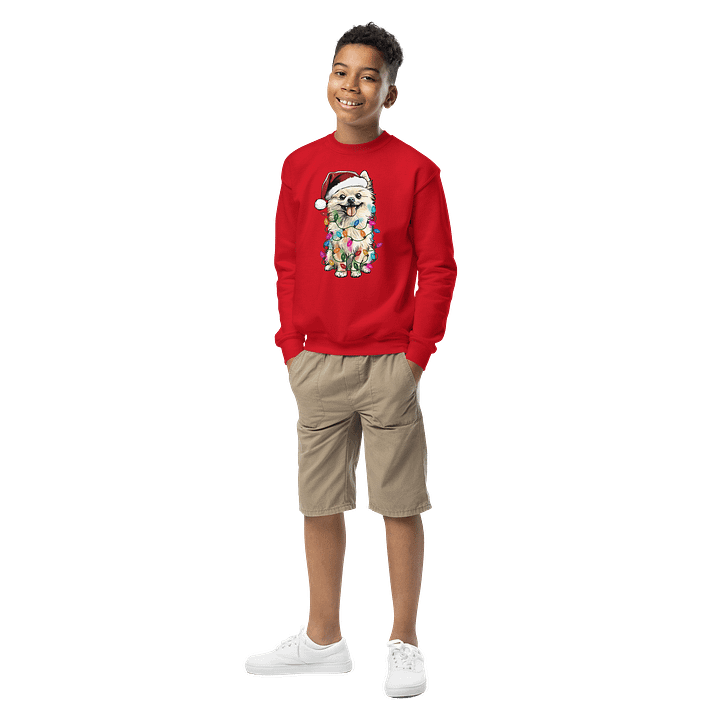 Funny Christmas Pomeranian(White) Youth Sweatshirt product image (3)