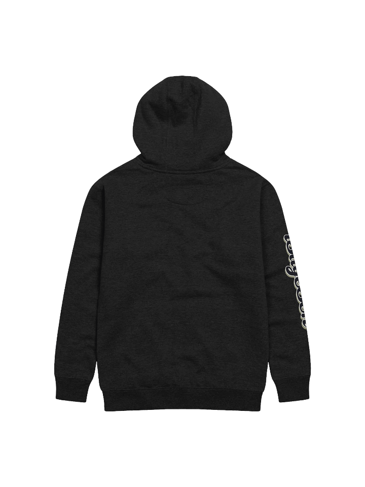 The Hoodie of a Sage II product image (2)