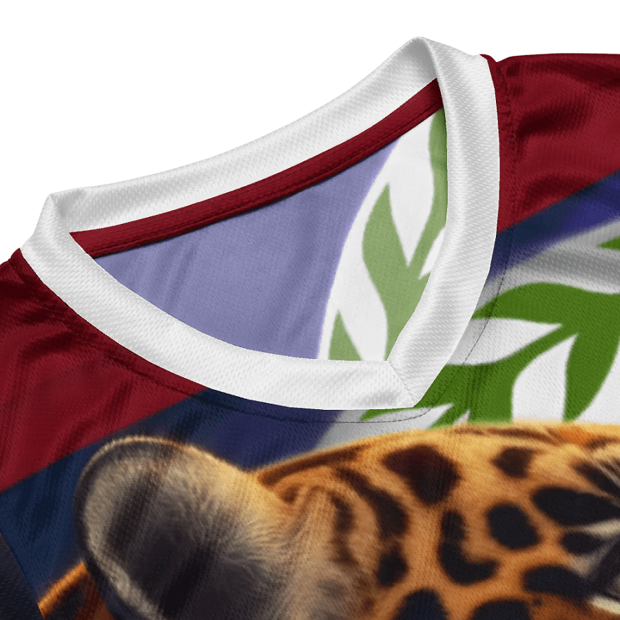 Beauty of Belize Basketball Jersey product image (11)