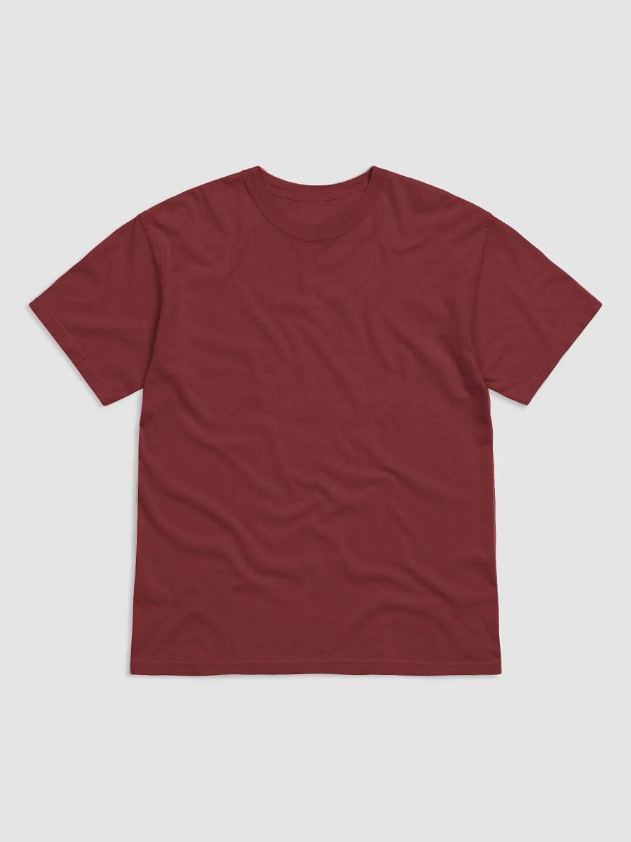 Not Gay But $20 is $20 Back Print Unisex Tee product image (3)