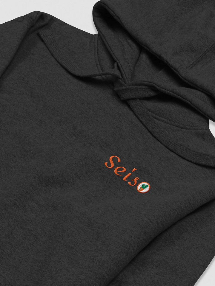 Seiso Hoodie - Embroidered product image (1)