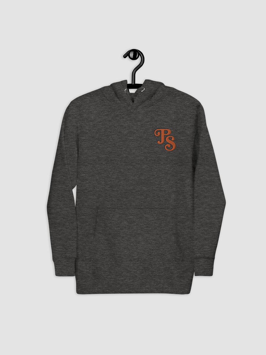 Popular Science Retro Logo Embroidered Hoodie product image (4)
