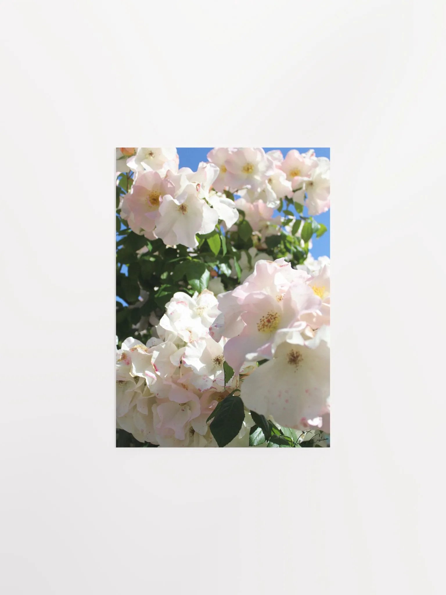 Spring Flowers Print product image (2)