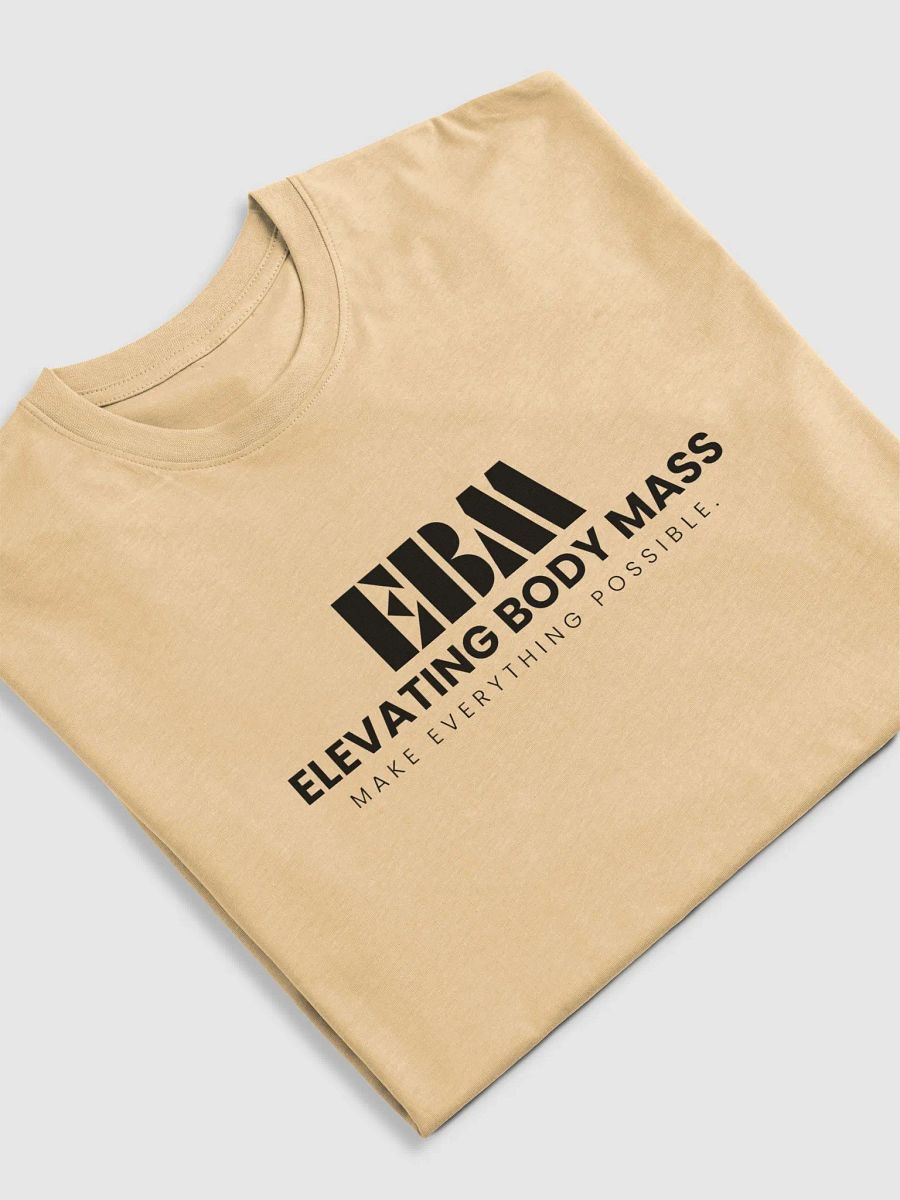 EBM Heavyweight Tees (Black Logo) product image (5)