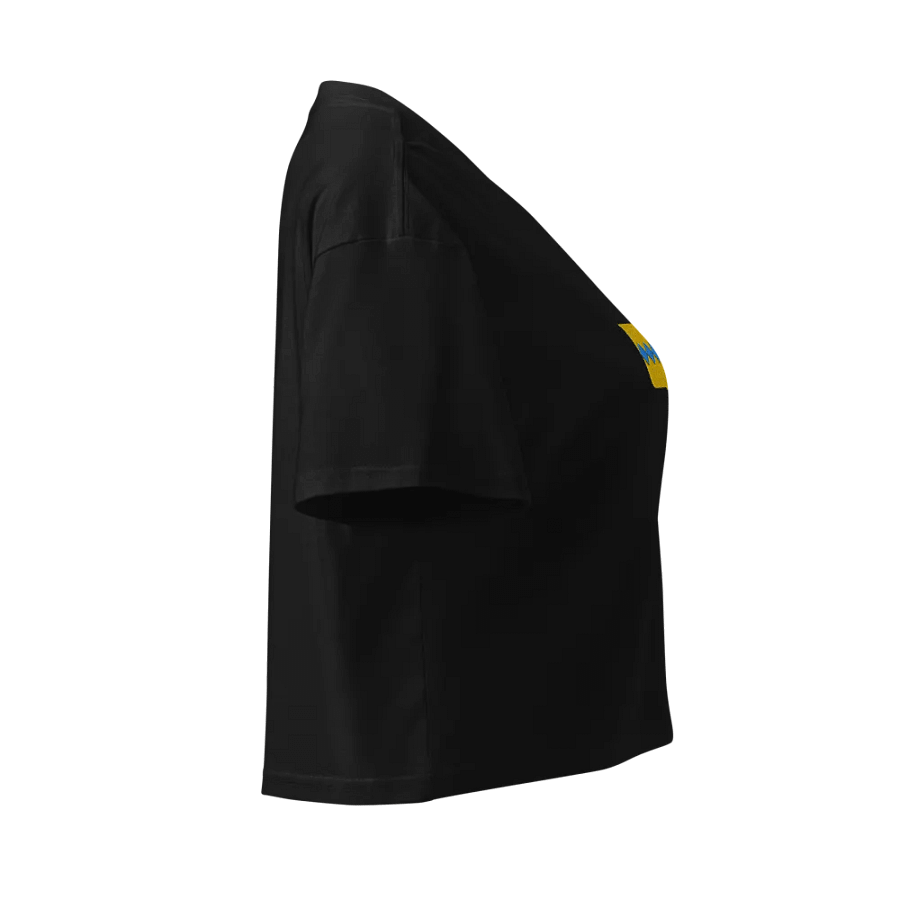 Pennington Crop Top product image (10)
