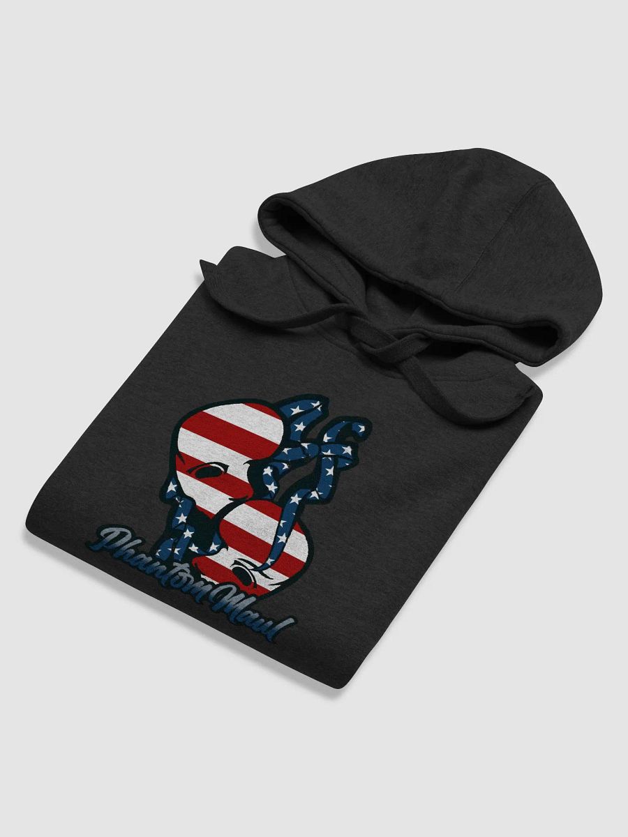 USA Big Logo Premium Hoodie product image (66)