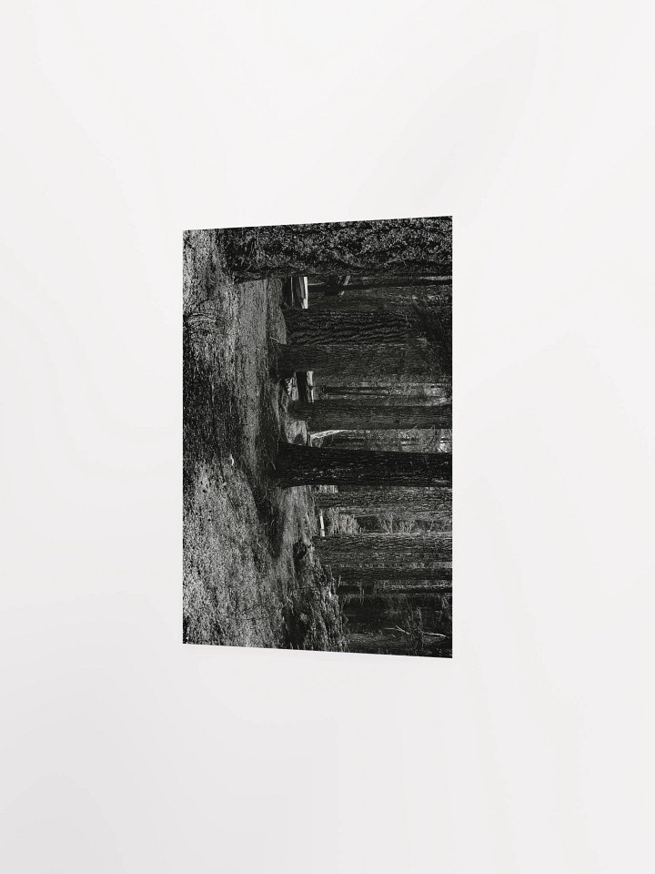 Hiking in the Buckhorn Wilderness Matte Poster product image (2)