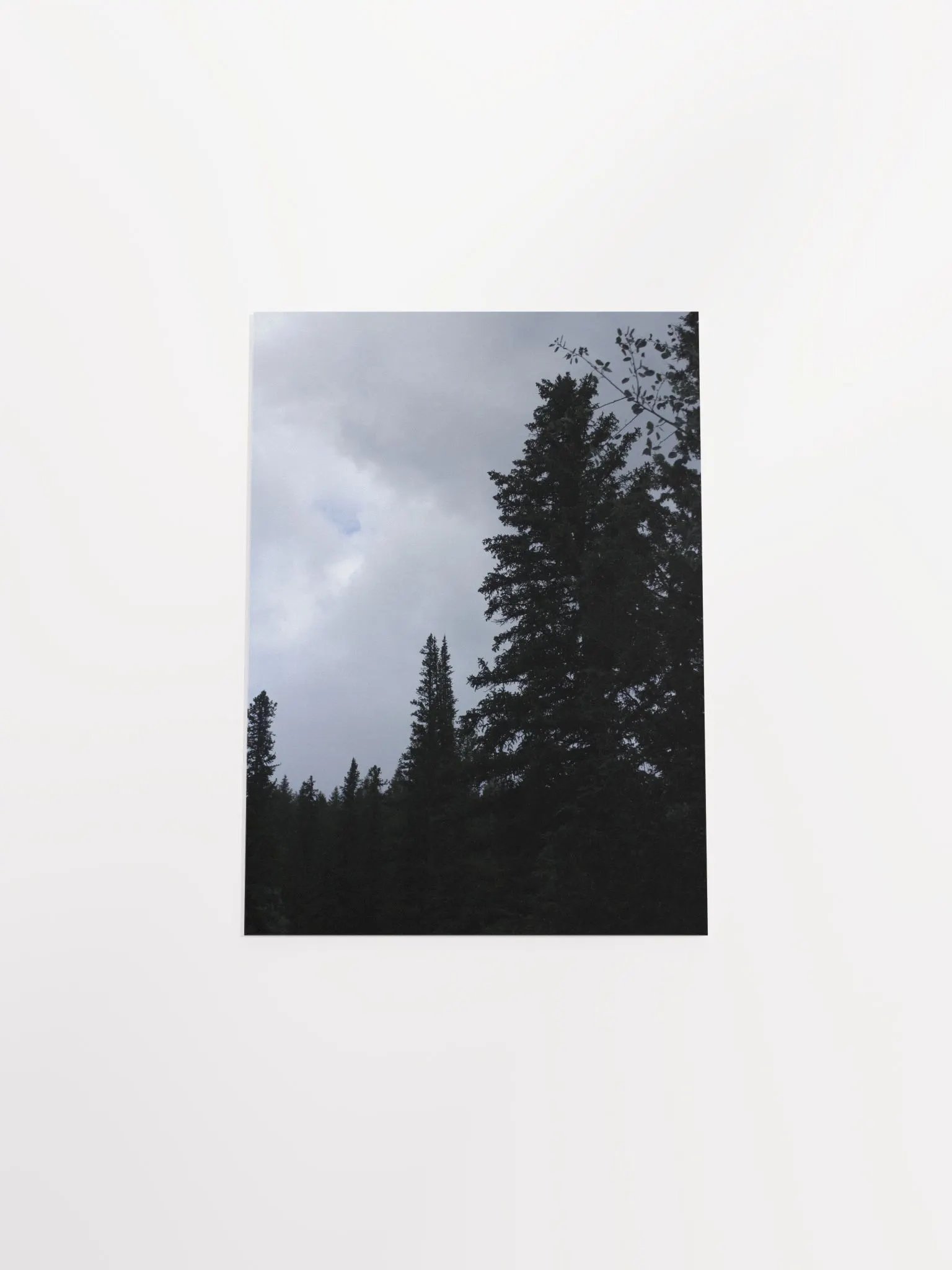 This Is Not In Black & White - Poster product image (15)